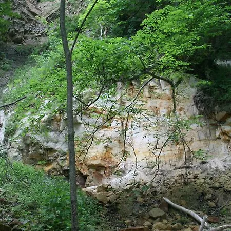 Kuldkaru Manor Valaste