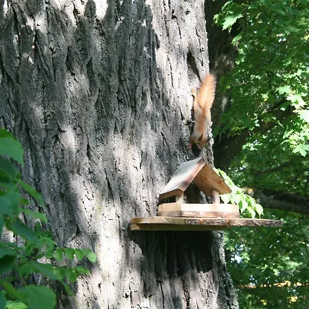 Bed and Breakfast Kuldkaru Manor