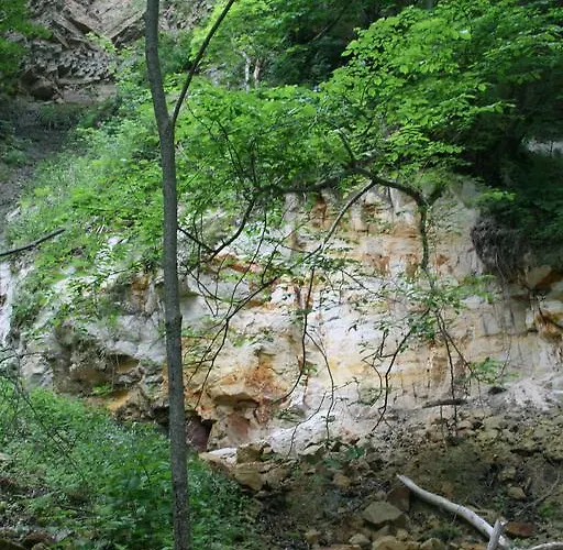 Kuldkaru Manor Valaste