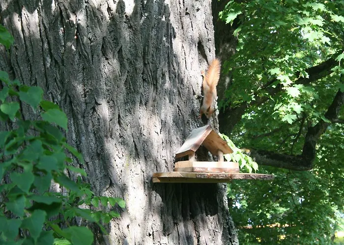 krevet i doručak Kuldkaru Manor